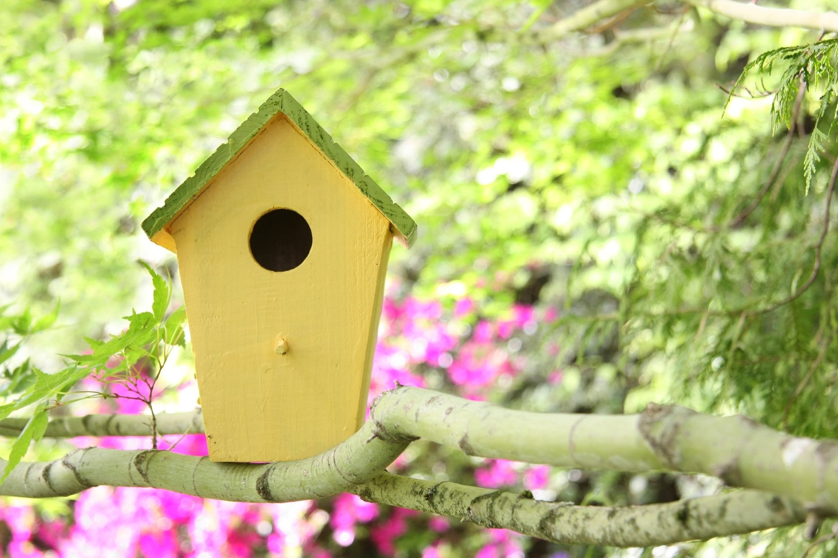 build-a-birdhouse