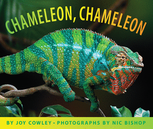 Chameleon, Chameleon by Joy Cowley - Picture Book - The Parent Store