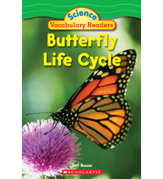 Science Vocabulary Readers: Butterfly Life Cycle by Jeff Bauer