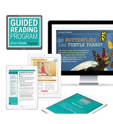 Guided Reading