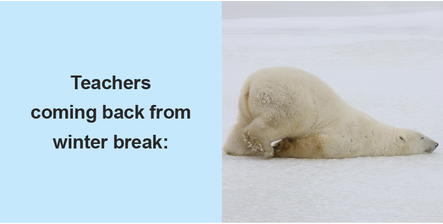 Image of a polar bear pushing himself forward on his belly with the caption 