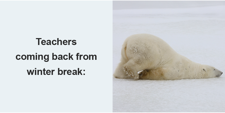 Image of a polar bear pushing himself forward on his belly with the caption 