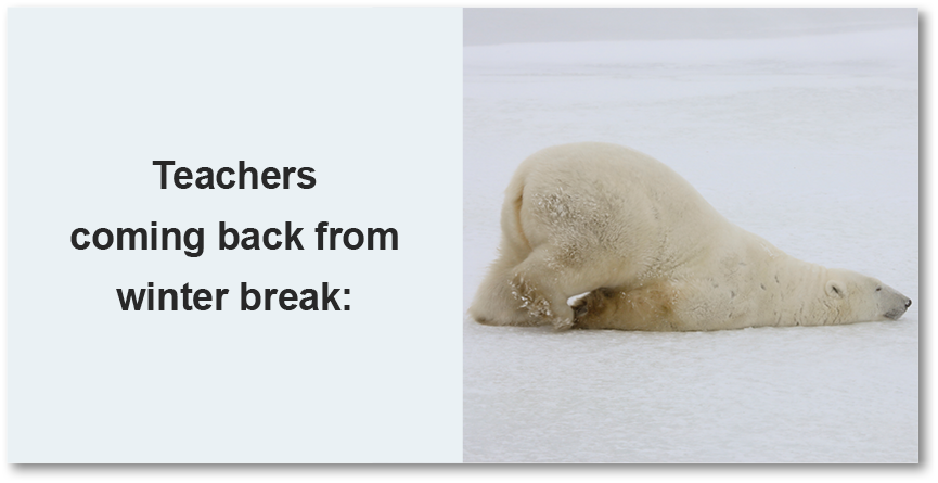 Image of a polar bear pushing himself forward on his belly with the caption 