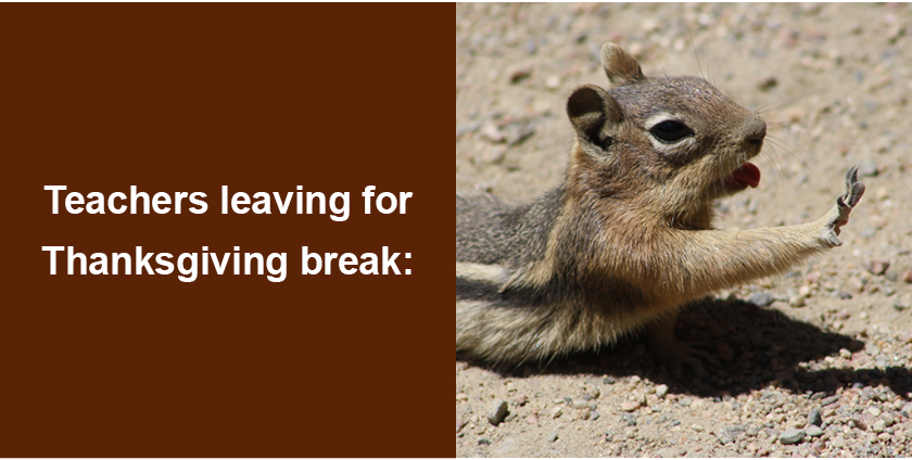 Image of a chipmunk sliding with outstretched little paw ahead of him captioned 