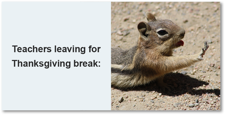 Image of a chipmunk sliding with outstretched little paw ahead of him captioned 