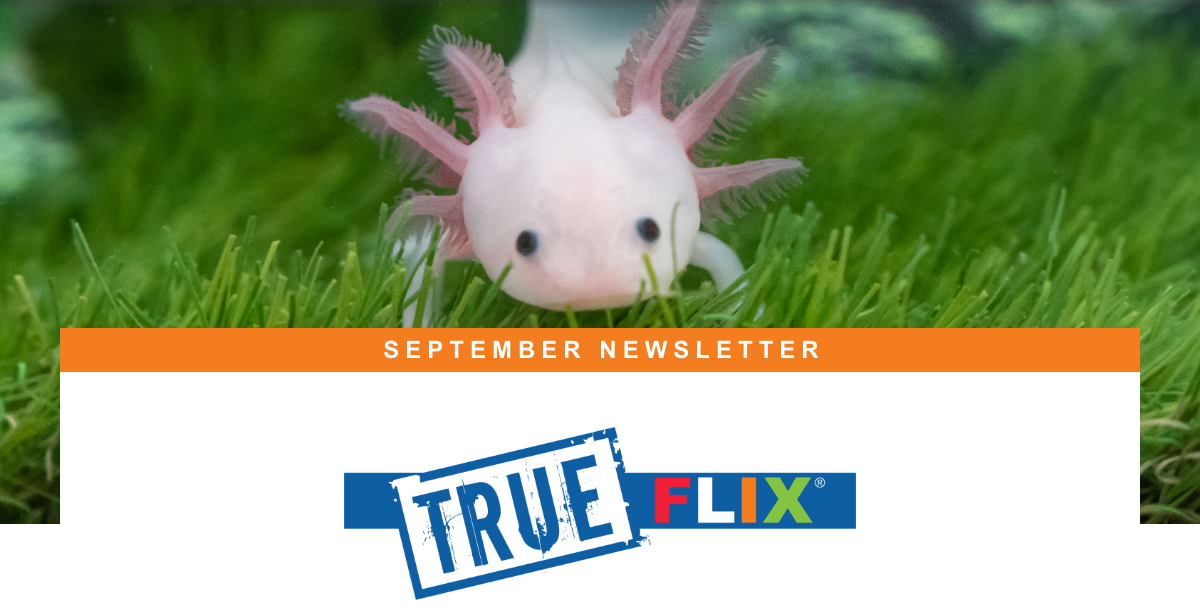 TrueFlix September 2022 newsletter