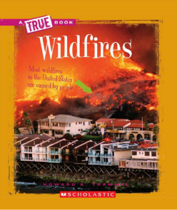 Wildfires