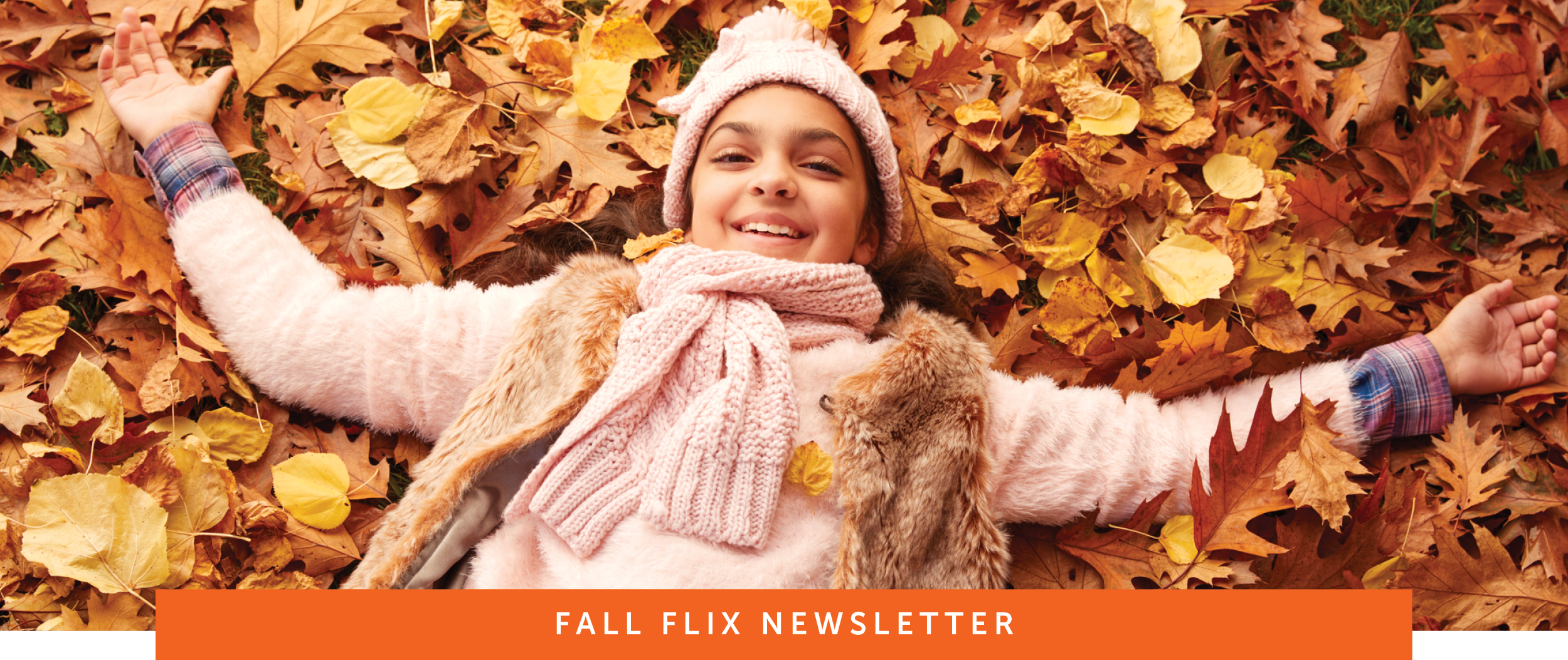 Fall FLIX Newsletter