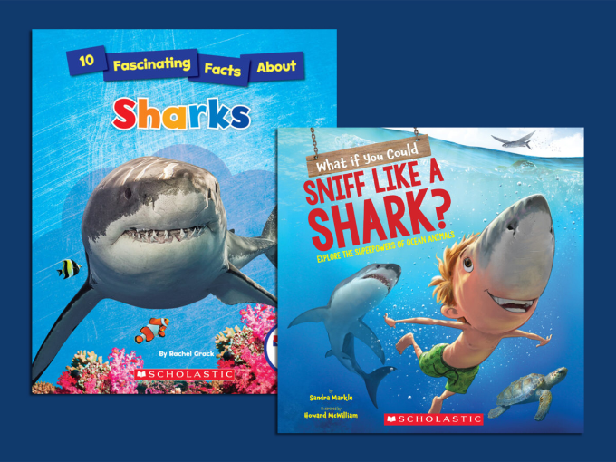 Fintastic Children's Books About Sharks