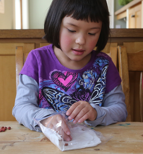 Germinate Seeds and Watch Them Sprout on the Windowsill