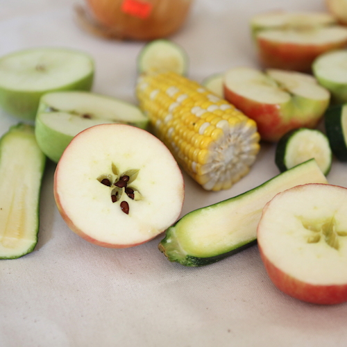 How to Use Fruits & Veggies to Make Stamps