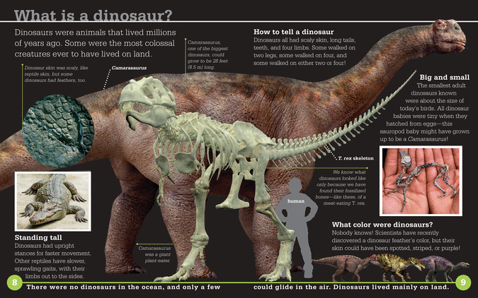 Exmouth Tyrannosaurus Sex Woman Is Being Treated As A Victim By Cops Probing Photo Of Her Straddling Baby Dinosaur