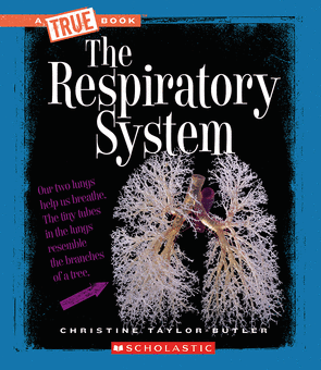 A True Book The Respiratory System By Christine Taylor Butler Paperback Book The Parent Store