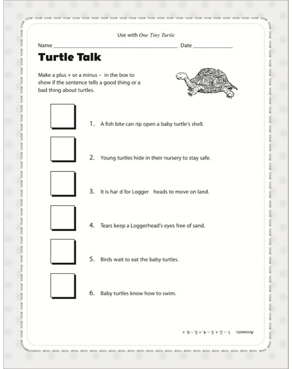 One Tiny Turtle by Nicola Davies