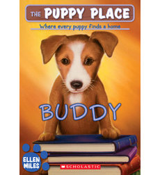 Buddy Buddy
