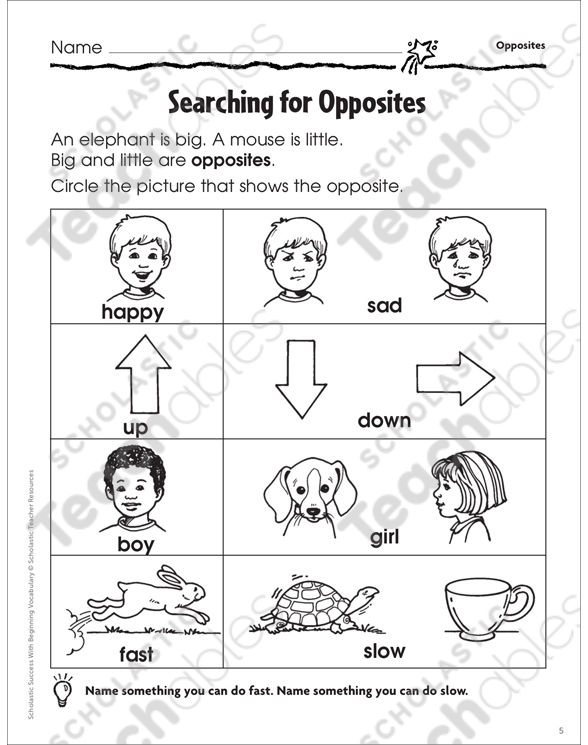 Antonyms Grade 1 Differentiation Pack by