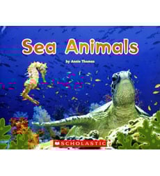 Sea Animals Sea Animals