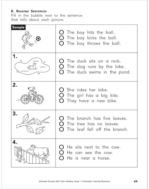 Practice Test 7: Reading Skills (Grade 1) by