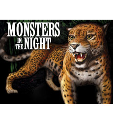 Monsters in the Night Monsters in the Night