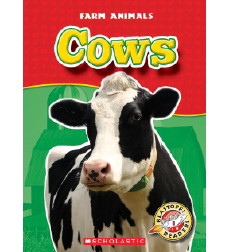 Cows Cows