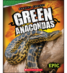 Green Anacondas Green Anacondas