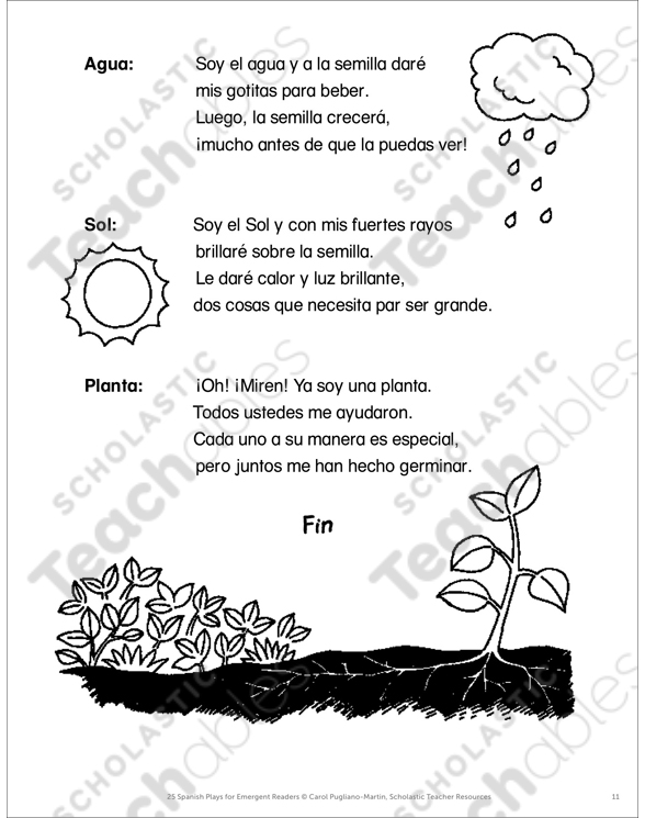 Plant Life Cycles Pack by