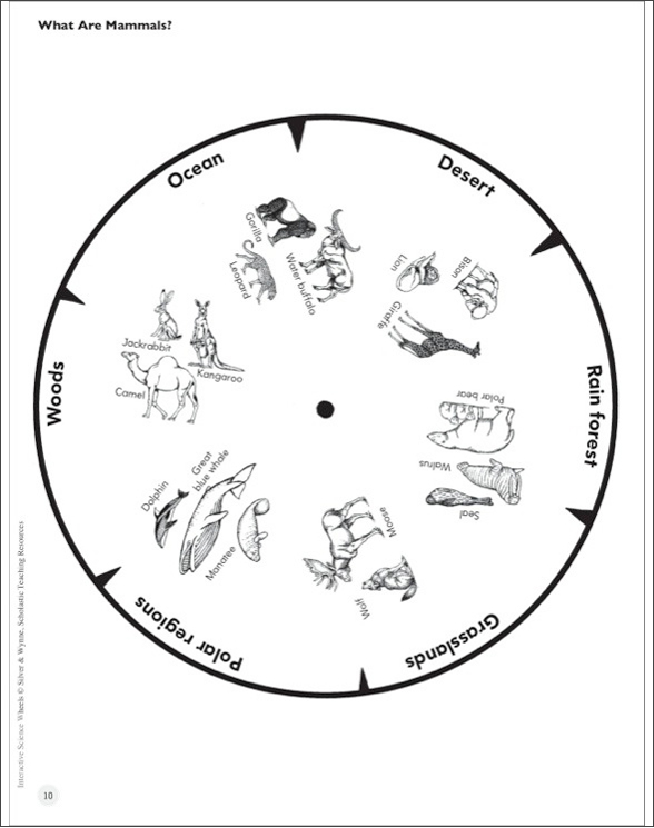 Interactive Science Wheels by Donald M. Silver;Patricia J. Wynne