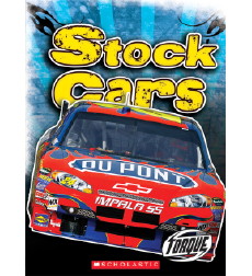 Stock Cars Stock Cars
