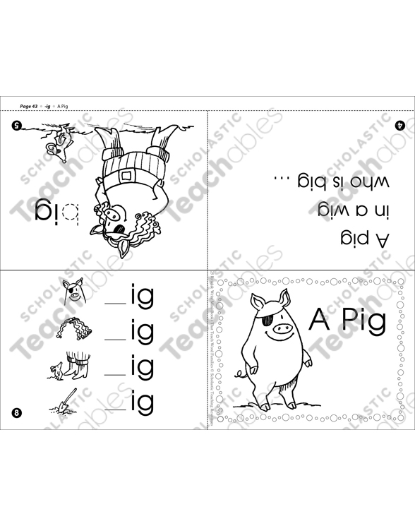 Word Family MiniBook ig MiniBook by