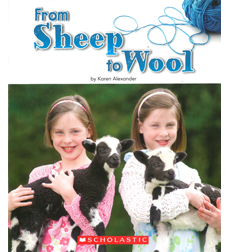 From Sheep to Wool From Sheep to Wool