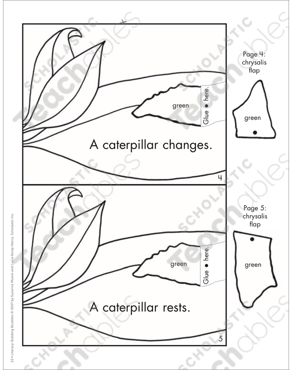 Butterfly Life Cycle Pack By