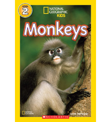 Monkeys Monkeys