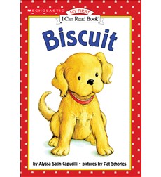 Biscuit Biscuit