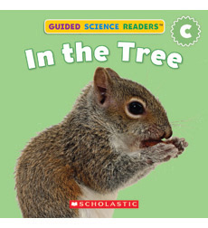 In the Tree In the Tree