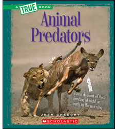 Animal Predators Animal Predators