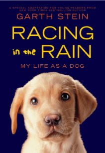 Racing in the Rain Racing in the Rain