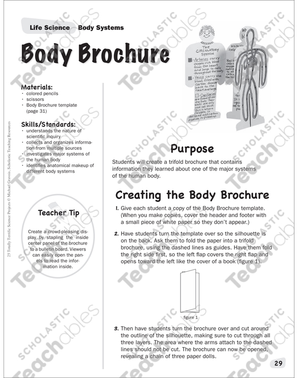 Body Brochure - Body Systems: Life Science Project by