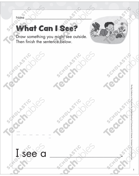 What Can I See Mini Book For Guided Reading Level A By 