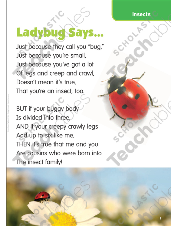 Ladybug Says Insects Science Poem By