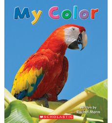 My Color My Color