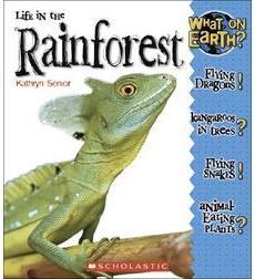 Life in a Rainforest Life in a Rainforest
