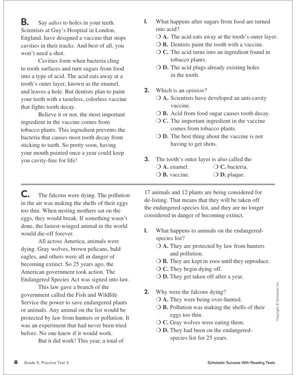 Scholastic Success With Reading Tests: Grade 5 Workbook by