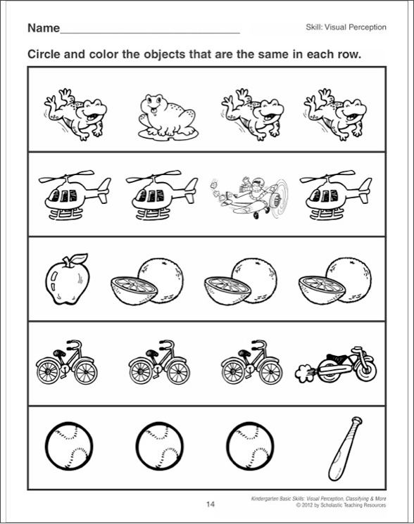 Kindergarten Basic Skills: Visual Perception, Classifying & More by