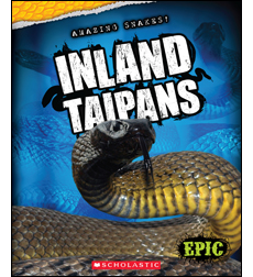 Inland Taipans Inland Taipans