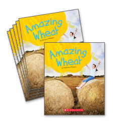 Guided Reading Set: Level H - Amazing Wheat Guided Reading Set: Level H - Amazing Wheat
