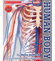 Scholastic Discover More Human Body By Steve Setford