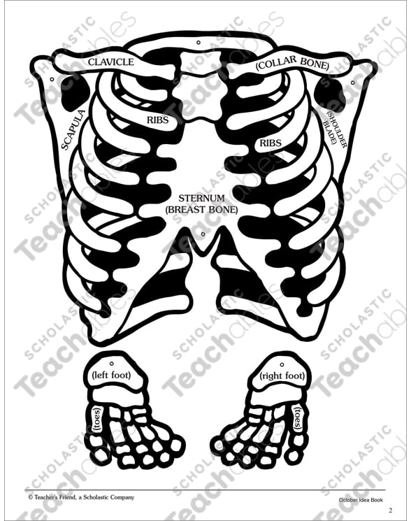 mr-skeleton-pattern-and-activities-by