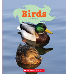 Birds Birds
