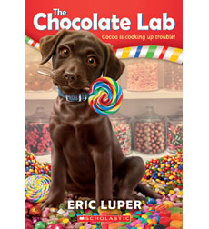 The Chocolate Lab, Cocoa is cooking up trouble! The Chocolate Lab, Cocoa is cooking up trouble!