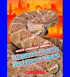 Diamondback Rattlesnakes Diamondback Rattlesnakes